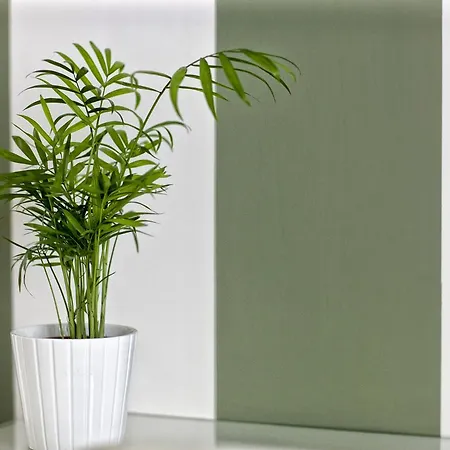 Kalavria 4* Реджо-ди-Калабрия